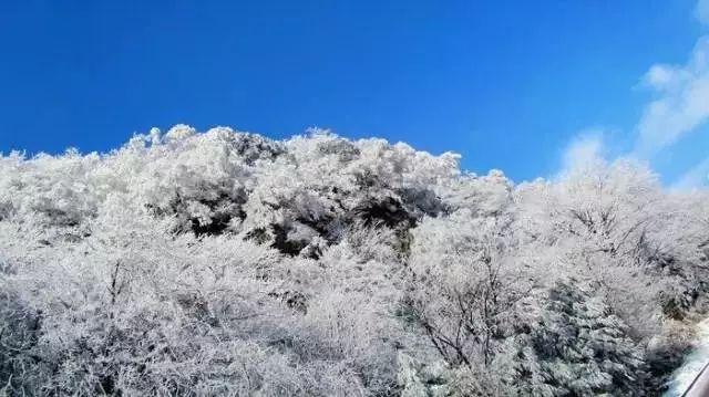 《幻兽帕鲁》邪麒麟捕获攻略