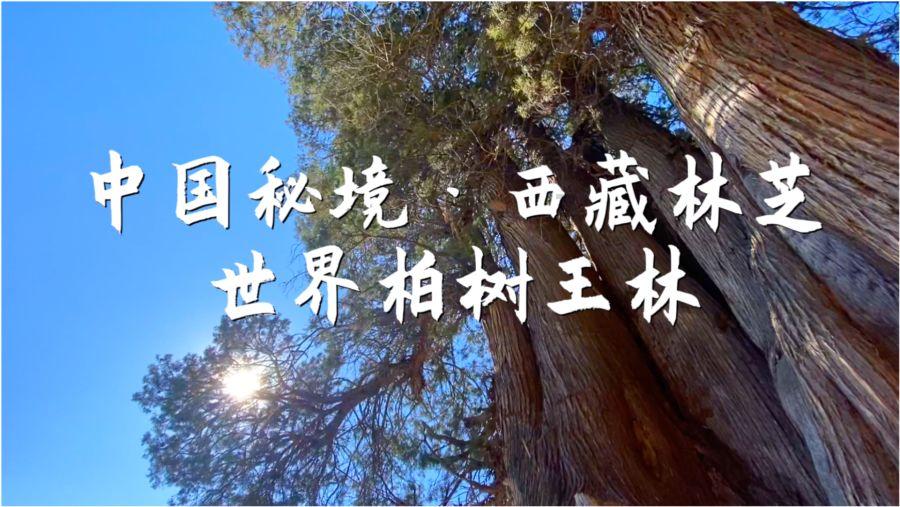 死神VS火影3.2