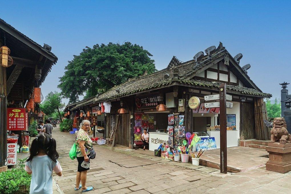 细胞分裂6